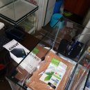 비즈아쿠아수족관 이미지