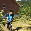 백담소나무계곡펜션 이미지