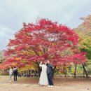 내장산국립공원화장실(제1주차장) | 내장산 국립공원 단풍 절정 시기 2024 단풍축제 단풍코스 케이블카 셔틀버스 주차장 찐후기
