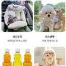 멍군 컴퍼니