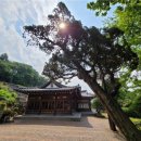 송학동-12 이미지