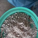 방주농장 이미지