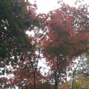 상갈중학교 이미지