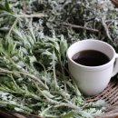 문 휘트니스 이미지