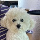 네오메디컬동물병원 이미지