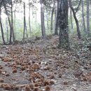 풍류농장 이미지