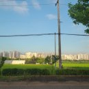 서부산업도로 이미지