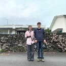 태신해안로 | 제주 스쿠터여행 코스 4일차 | 남쪽에서 동쪽으로, 비 오는 서귀포를 달리다