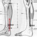 중풍의 예방혈 - 부류혈 이미지