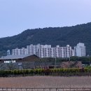 가뭄극복 상징 조형 | 이름 속에 남은 사람들의 생활사: 벌교(筏橋) 지명 아카이브(기록보관)