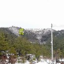 전남 무안군 청계면 도림리 / 임야 야산, 묘자리 펜션지 임업영농용지 절용지 휴양시설부지 나무식재용지 과수원부지 / 1 이미지