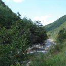 푸른하늘주유소 이미지