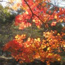 내원사계곡(내원사) 이미지