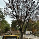 밤골어린이공원 | 아이와 갈만한 곳 도봉구 밤골어린이공원 어린이놀이터
