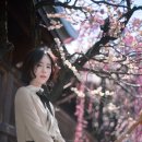 윤선영 Daum카페