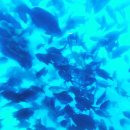 천부해중전망대 이미지