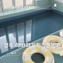 해바라기 키즈 풀빌라 이미지