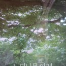 느티나무2농장 이미지