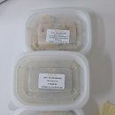 (주)풍산 동래공장 | [부산 양산 수제 유아식/부산진구 아기반찬 정기배송] 베베파파 부산본점 후기(장/단점)