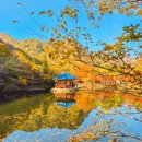 내장산 관광안내소 | 내장산 등산코스