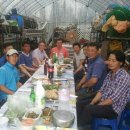 은행정농장 이미지