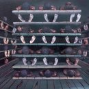 범선농장 이미지