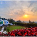 별 헤는 밤 200 이미지