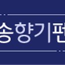 해송향기펜션