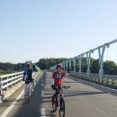 장어농장 이미지