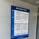 이안정형외과의원 | 성남 이안정형외과의원 후기(진료, X-ray 촬영, 물리치료, 도수치료)