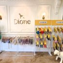 디오네 도그케어 이미지