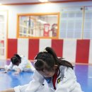 펀 태권도장 이미지