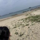 고고비치서프 | [고성] 고고비치서프, 서핑강습후기 / 고성서핑