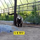 물동이 이고 가는  이미지