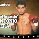 국제복싱 이미지