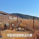 서문어린이도서관 | 충남 서천 아이와 가볼만한곳 국립생태원에코리움