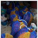 정일농장 이미지