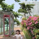 누리미소반 신유이 주말이야기 이미지