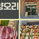 신양오리 이미지