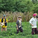 팔도전자 이미지