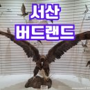 [충남/서산/가볼만한곳]서산버드랜드 후기!!
