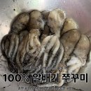 봄 주꾸미 막차! 신선만에서 주문한 100% 알배기 쭈꾸미 후기
