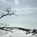 소석농장 이미지