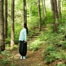 치유의 숲 이미지