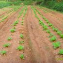 도농농장 이미지