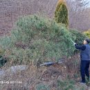 기우농장 이미지