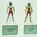 169 | 일본 도쿄 워킹홀리데이 24년 11월 15일 / 타마시네이션 2024 관람 후기![D-169]