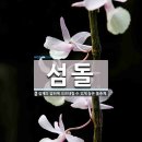 애가 이미지