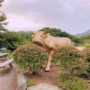 과역한우직판장 이미지