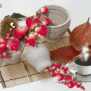 샤보뎅 이미지